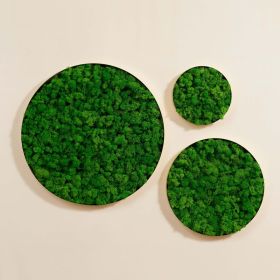 Round-framed Moss Wall Hangings